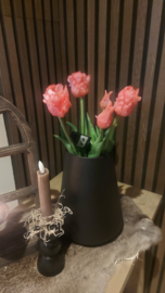 Tulpen  5 stelen roze