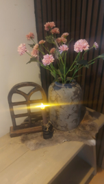 Korenbloem mauve