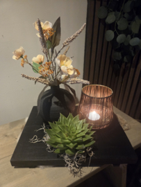 Dienblad zwart met euchrveria