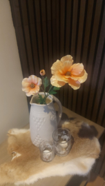 Boter bloem peach