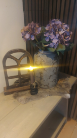 Hortensia bol paars