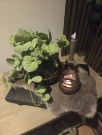 Dienblad zwart compleet