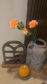 Korenbloem oranje