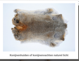 Vachtje
