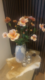 Boter bloem peach