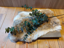 Kunst takken eucalyptus