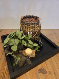 Dienblad vierkant compleet