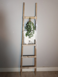 fruit ladder 170x40 antiek bruin