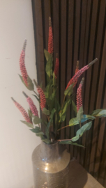 Veronica tak roze