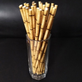 Biodegradable Paper Straws with trendy prints