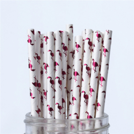 Biodegradable Paper Straws with trendy prints