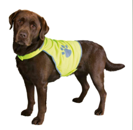 Reflective dog back safety vest
