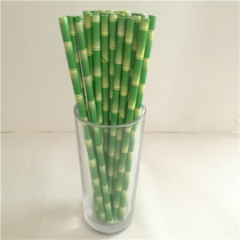 Biodegradable Paper Straws with trendy prints