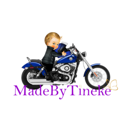 Born to be wild boy