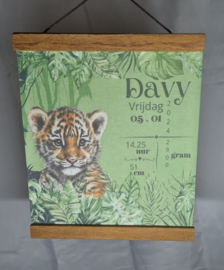 Baby tijger