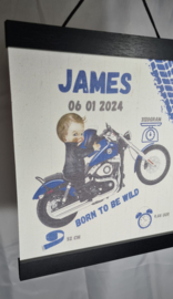 Born to be wild boy