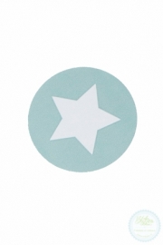 Sticker ster mint (12st)