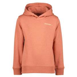 RAIZZED HOODIE NEWFIELD FADED RUST MAAT 152