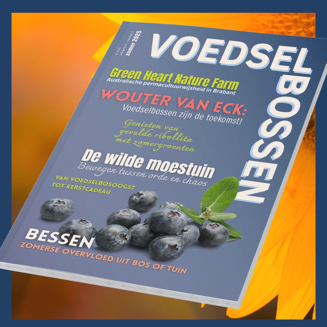 Zomer 2025
