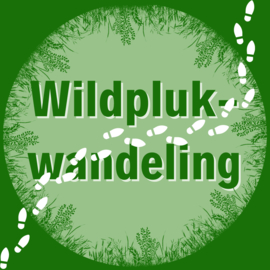 Wildplukwandeling Yvette zaterdag 10 juni 11.00 uur