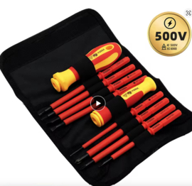 10 Delige verwisselbare schroevendraaier set geïsoleerde 500V