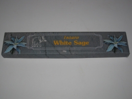 Intaro White Sage  ( Witte Salie )
