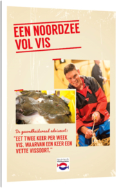 Folder 'Een Noordzee vol vis' (25 stuks)