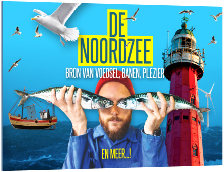 Lesmateriaal ''De Noordzee'' (25 stuks)