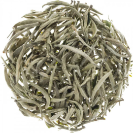 Yunnan Old Bush Silver Needle