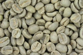 Costa Rica Tarrazú (ongebrand 1000 gram)