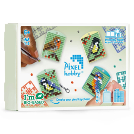Pixelhobby Sleutelhangers - Thema Box Vogels - incl. 18 matjes