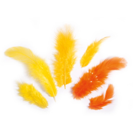 Veren - 3 tot 10 cm - geel en oranje - 10 gr