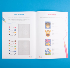 Pixelhobby School Pakket Sleutelhangers maken - incl. 15 Educatieve boekjes