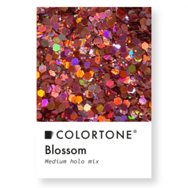 Colortone Medium Holo Mix Blossom 14 gr