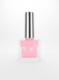 Peacci Pink Carnation