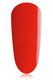 THE GELBOTTLE  GEL POLISH ROOD