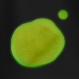 The GelBottle Trick Glow In The Dark