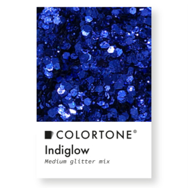 Colortone Medium Glitter Mix Indiglow 3 gr