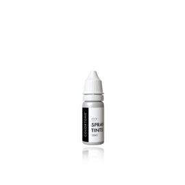 Colortone Air Brush Spray Tint Zilver (07)