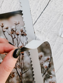 Torn edges lat plexi rosé