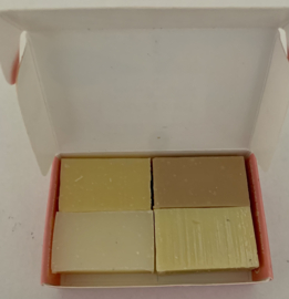 sample soap bars