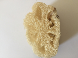 Loofah