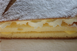 Sneeuwster met advocaat