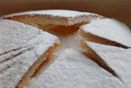 Sneeuwster met advocaat