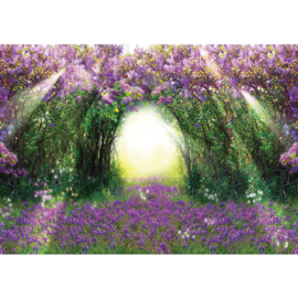Fotobehang poster 0687 planten bloemen boog groen paars licht