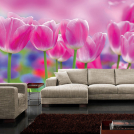 Fotobehang poster 3562 bloemen tulpen roze