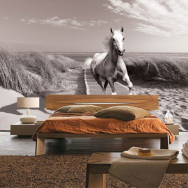 Fotobehang poster 2037 dieren paarden strand steiger zee duinen