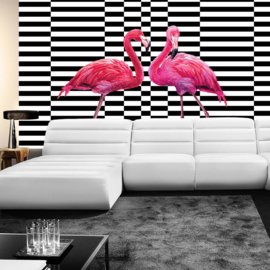 Fotobehang poster 4349 dieren flamingo roze zwart wit
