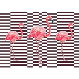 Fotobehang poster 4350 dieren flamingo vogels