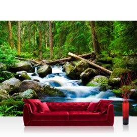Fotobehang poster 0031 rotsen waterval bos natuur